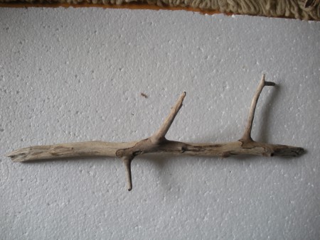 Ref. P1 (39cm) - 3.5€