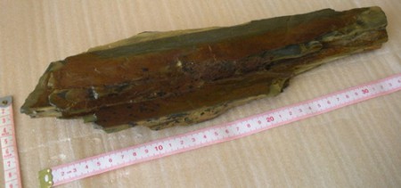 Pedra Xisto I